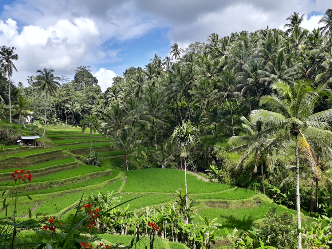 Indonesia (Bali)
